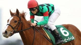 【POG】GIII覇者ビービーバーレルの2番仔が8月デビューを目指す　中館師「芝1800mから使いたい」