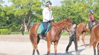 米キーンランドセプテンバーセールにて落札されたモダナイズクィーンがデビュー/関東馬メイクデビュー情報