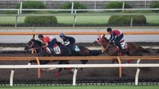 父リアルスティールと同厩舎に所属、師も高い期待寄せるフェイト/関西馬メイクデビュー情報