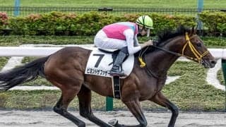 【AI予想・レパードS】5馬身差「圧勝舞台」で一変!? 波乱の予感漂う「穴馬」本命候補