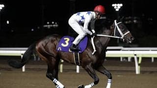 【レパードS想定騎手】ハピは藤岡佑介騎手、ホウオウルーレットは福永祐一騎手