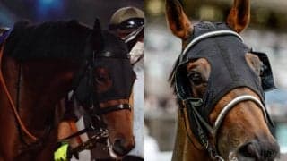 【ブリーダーズGC】出走予定馬および補欠馬が発表　関東オークス覇者グランブリッジ、マーキュリーC2着テリオスベルなど