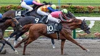 【エルムS想定騎手】オメガレインボーは横山和生騎手、ウェルドーンは武豊騎手