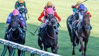 レース創設以来続くサンデー系の連敗が「22」に到達したアイビスSD