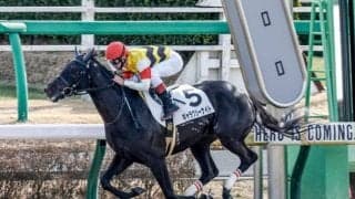 【レパードS展望】平坦小回りで先行力が求められるレース