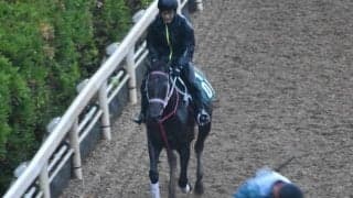 デュアルモーションなど、先週のゲート試験/栗東トレセンニュース