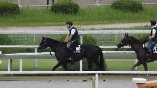 ピースオブエイトなど、先週の入厩情報/栗東トレセンニュース