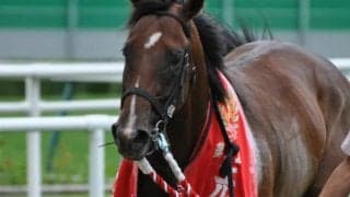 【エルムS】1分40秒9で駆け抜けたロンドンタウン　2017年に計時した圧巻のレコードを振り返る