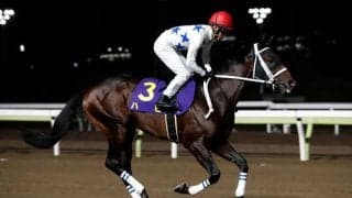 【レパードS予想オッズ】ハピが予想1番人気