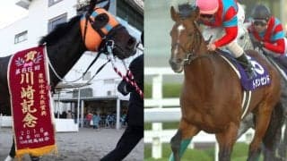 【レパードS】GI/JpnI10勝のホッコータルマエ、JCダート連覇のトランセンドなどが勝利　「出世レース」の歴史を振り返る