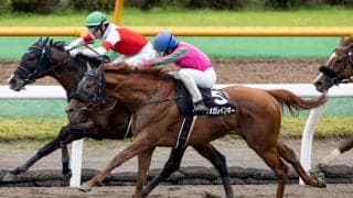 【エルムS予想オッズ】オメガレインボーが予想1番人気