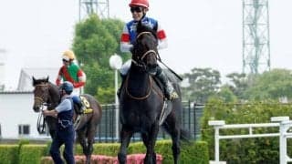 【エルムS展望】好走傾向に合うあの馬に期待したい