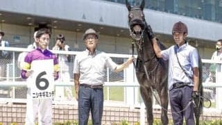【次走】ニシキギミッチーはプラタナス賞を視野に 半兄にNHKマイルC最低人気3着のカワキタレブリー
