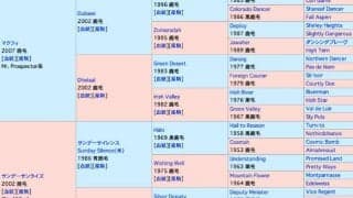 【POGデビュー情報】「気が良くて、走りも軽い」マクフィ産駒オーサムサンライズが20日小倉5Rにスタンバイ