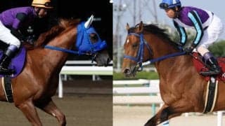 【地方競馬】大井・黒潮盃の他地区選定馬3頭が発表　3歳限定の地方全国交流重賞