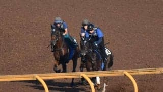 ダイヤモンドハンズ、札幌2歳S追い切り速報/栗東トレセンニュース