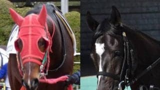 「宇宙戦艦vs地球防衛軍」が実現！　6歳馬ウチュウセンカンに軍配／園田4Rレース結果