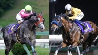 【盛岡・クラスターカップ】連勝中ダンシングプリンス、連覇狙うリュウノユキナ、3歳馬リメイクなど　選定馬・補欠馬が発表