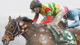 重賞2勝の良血牝馬フェアリーポルカが競走馬登録を抹消、今後は北海道で繁殖牝馬に