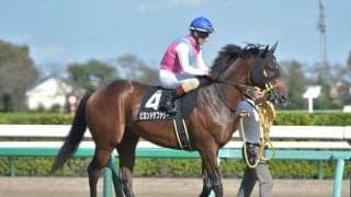 【レパードS予想】先週はAIが指名した馬が激走！今回も伏兵を指名！