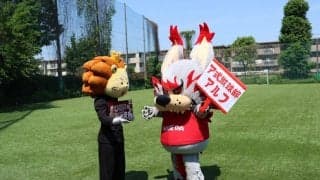 【連載】『44の円陣』ＷＥＢ版　第１回　大学スポーツの顔となれ（わーおくん／応援部✕アルフ／ア式蹴球部）