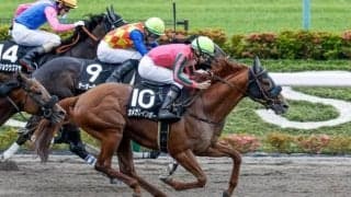 【エルムS出走馬・騎手確定】オメガレインボー＆横山和生騎手、ウェルドーン＆武豊騎手など14頭