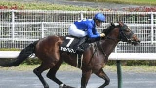 【レパードS出走馬・騎手確定】タイセイドレフォン＆川田将雅騎手、ハピ＆藤岡佑介騎手など15頭