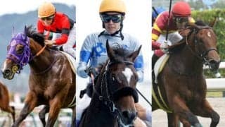 【ダリア賞】豪G1馬の仔フミサウンドや大井のシテイタイケツなどが出走予定　2歳王者も送り出したOP戦