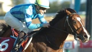 重賞2勝馬オーシャンブルーが骨折のため安楽死　2012年有馬記念でゴールドシップと「ステイゴールド産駒ワンツー」
