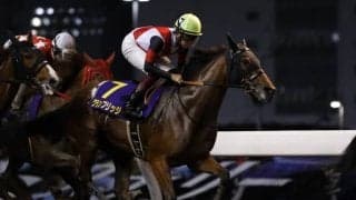 【門別・ブリーダーズゴールドC出走予定馬】グランブリッジ、テリオスベルら