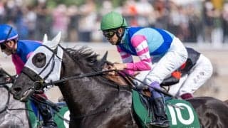 【武豊日記】今週も全力プレーを誓います