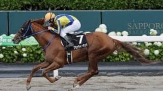 エルムＳは種牡馬成績から２頭を厳選。末脚の切れる８連勝中の馬が本命、対抗はダート1700ｍ巧者の７歳馬