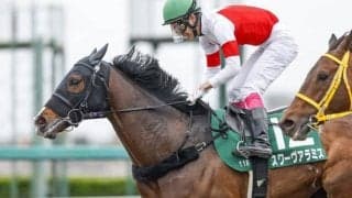 【エルムS枠順確定】オメガレインボーは3枠3番、ウェルドーンは4枠6番