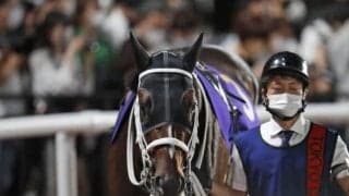 【レパードS枠順確定】タイセイドレフォンは2枠2番、ハピは5枠9番