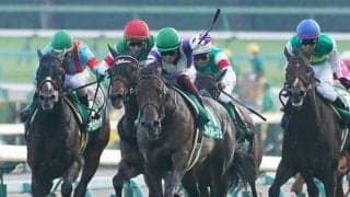 ファインルージュが競走馬登録抹消