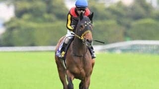 【今日の注目ポイント】長丁場の札幌日経OP、新潟では2歳OP・ダリア賞など