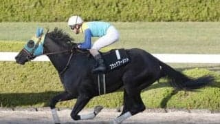 タフな流れが予想されるエルムＳ。穴党記者が推奨する伏兵２頭のまくりが炸裂か