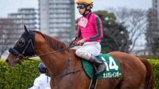 【エルムS予想】重賞実績馬「4頭」で大波乱も!? 札幌替わりで問われるトップスピードが鍵