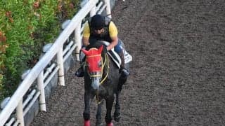 【小倉記念想定】前年覇者モズナガレボシ、重賞初制覇目指すジェラルディーナなど18頭