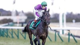 【関屋記念想定】今年の東京新聞杯を制したイルーシヴパンサー、一昨年のホープフルS覇者ダノンザキッドなど18頭