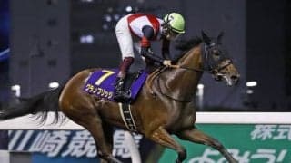 【門別・ブリーダーズゴールドC枠順確定】グランブリッジは7枠10番、テリオスベルは2枠2番