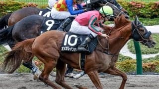 【エルムS予想】前哨戦が結果に直結!? コースがわりも波乱誘発の要因か