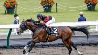 【レパードS前日オッズ】ホウオウルーレットが4.0倍で1番人気