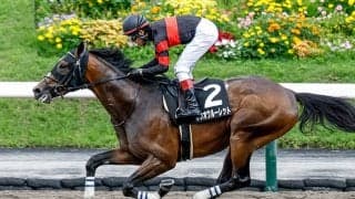 【AI予想・レパードS】あの馬が証明!? ホウオウルーレット重賞勝ちのシナリオ