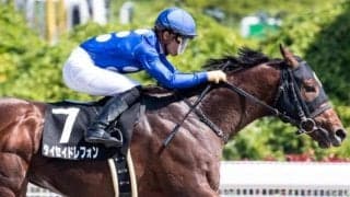 【今日の注目ポイント】新潟でレパードS、札幌ではエルムS