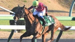 【エルムS予想】数少ない夏のダート戦、人気馬の実力信頼