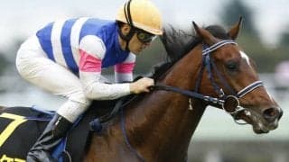 【次走】ワーケアは9月のダート戦・ラジオ日本賞で復帰　2019年ホープフルS3着馬