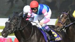 ウォーターナビレラは放牧へ 武幸四郎調教師「涼しくなってから関西へ」