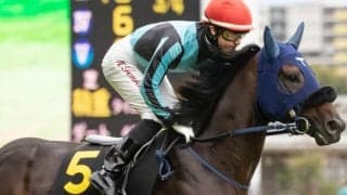 【次走】ココロノトウダイは新潟記念で復帰　半姉は先日引退のフェアリーポルカ