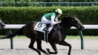 【新潟8R】直線一気炸裂！今村聖奈アルファマムが豪快に突き抜ける